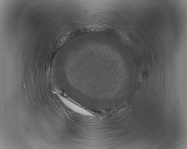 X0000078841298200612111545