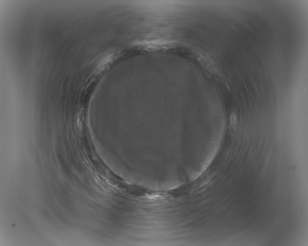 X0000078841300200612111545