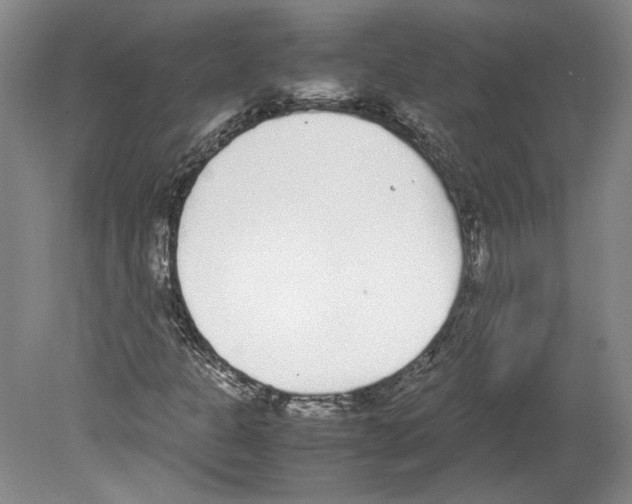 X0000078841301200612111545