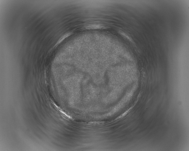 X0000078841305200612111545