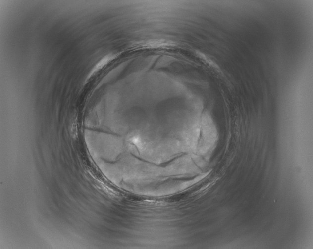 X0000078841306200612111545