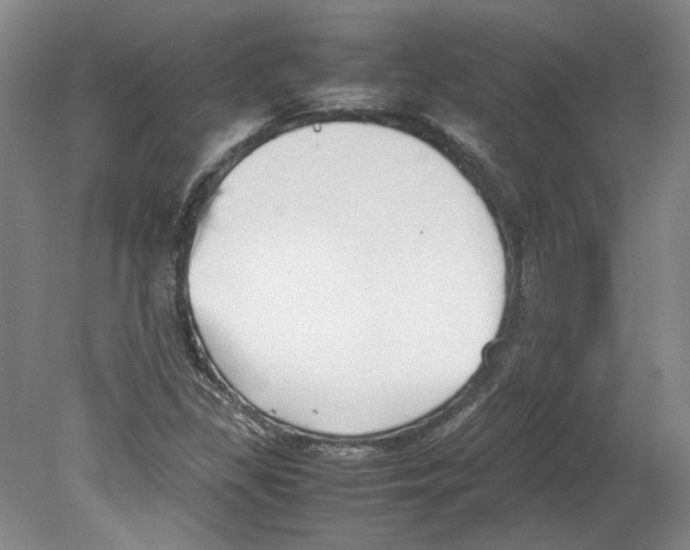 X0000078841309200612111545