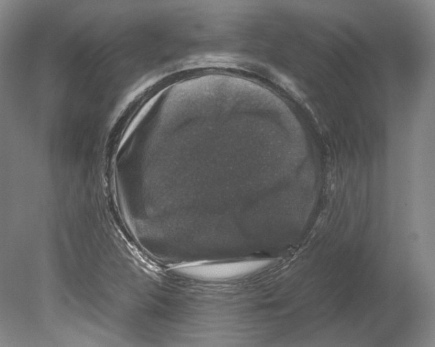 X0000078841312200612111545