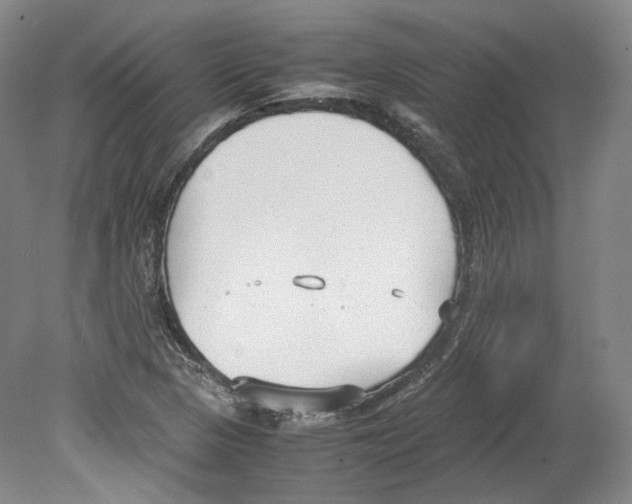 X0000078841313200612111545