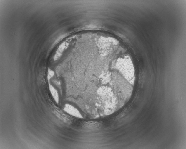 X0000078841314200612111545