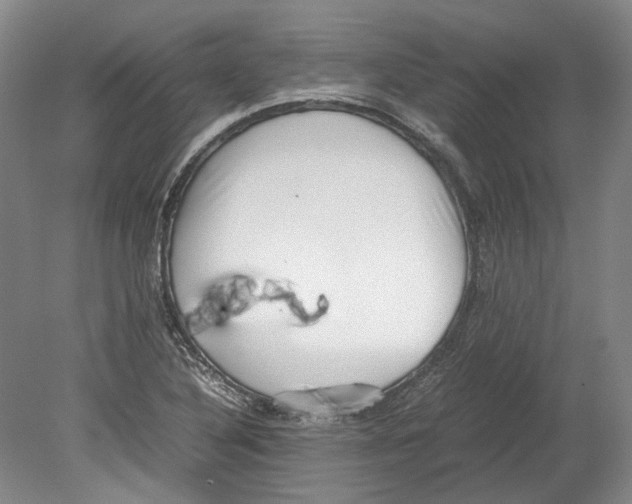 X0000078841316200612111545