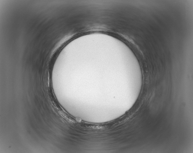 X0000078841317200612111545