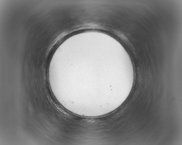 X0000078841318200612111545