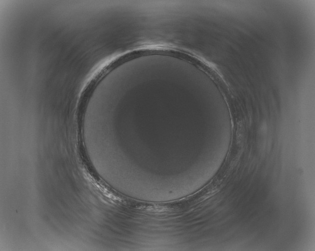 X0000078841319200612111545