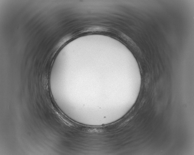 X0000078841321200612111545