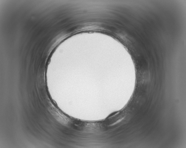 X0000078841322200612111545