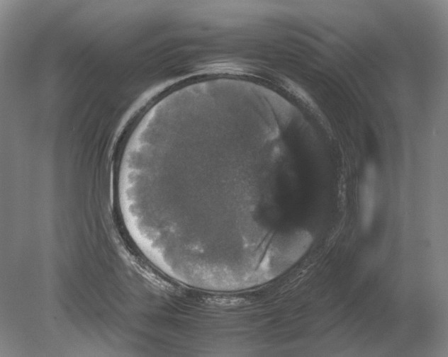 X0000078841323200612111545