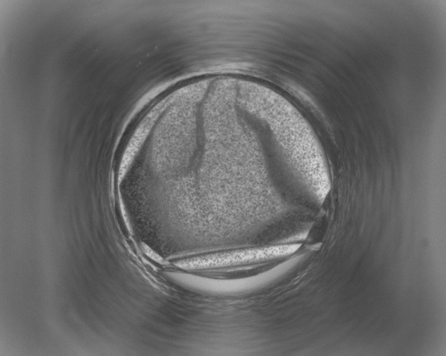 X0000078841324200612111545