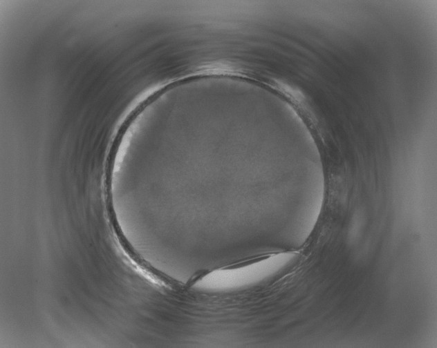 X0000078841331200612111545