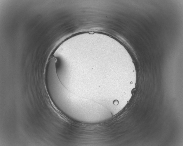 X0000078841332200612111545