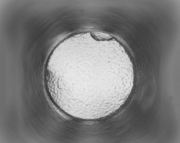 X0000078841333200612111545