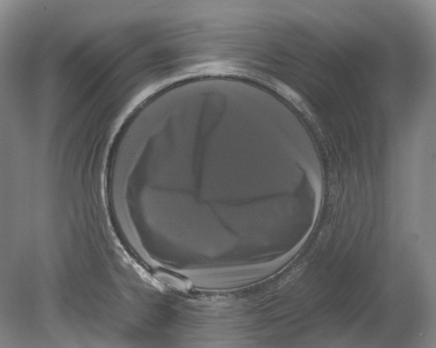 X0000078841334200612111545