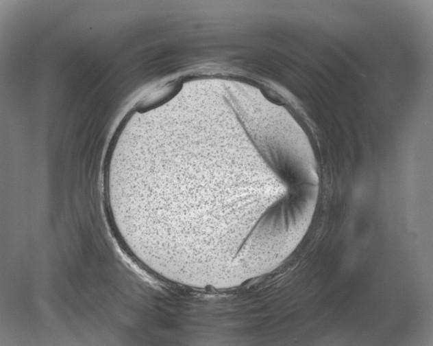 X0000078841335200612111545