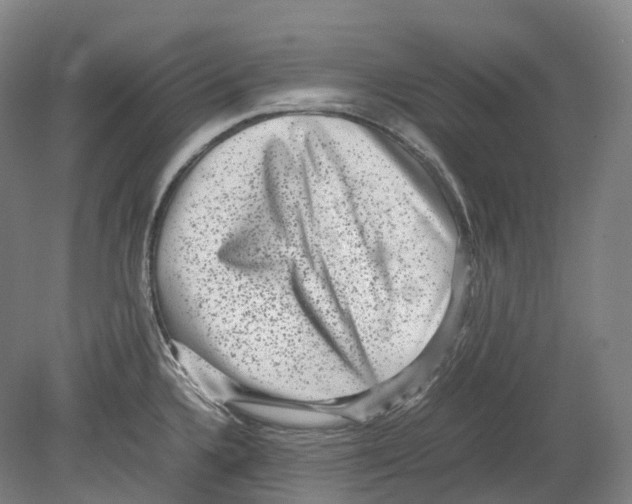 X0000078841336200612111545