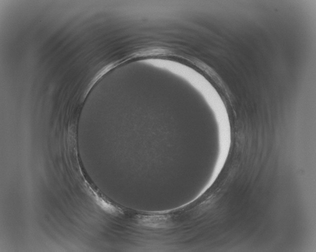 X0000078841337200612111545