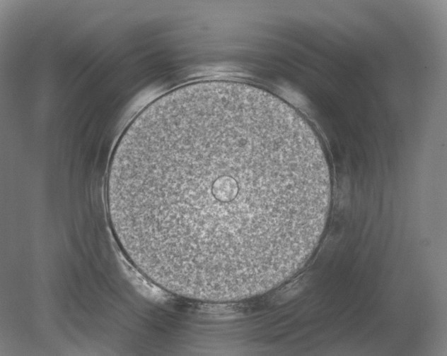 X0000078841338200612111545