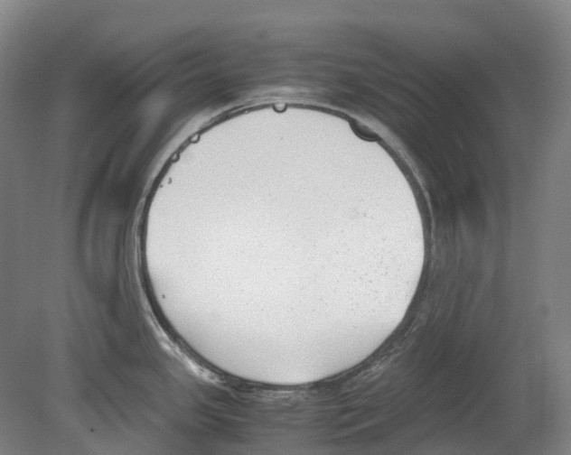 X0000078841341200612111545