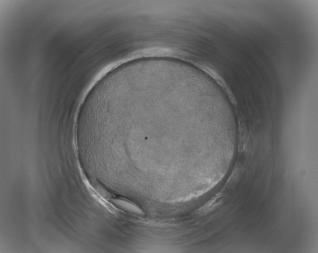 X0000078841342200612111545