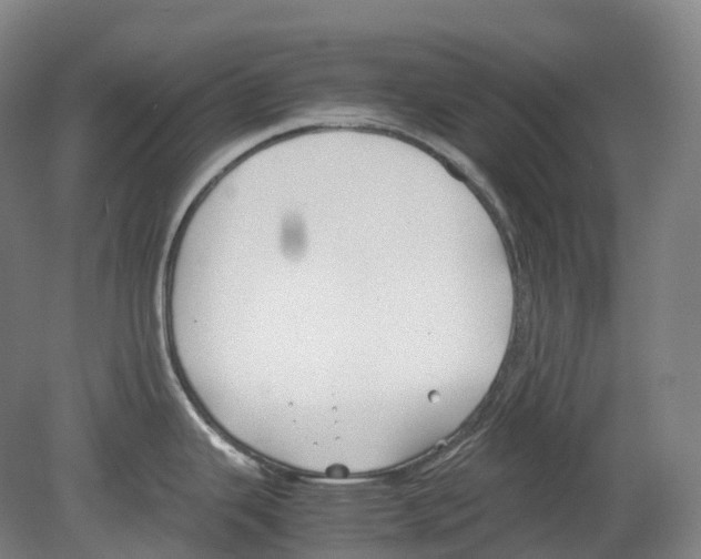 X0000078841343200612111546