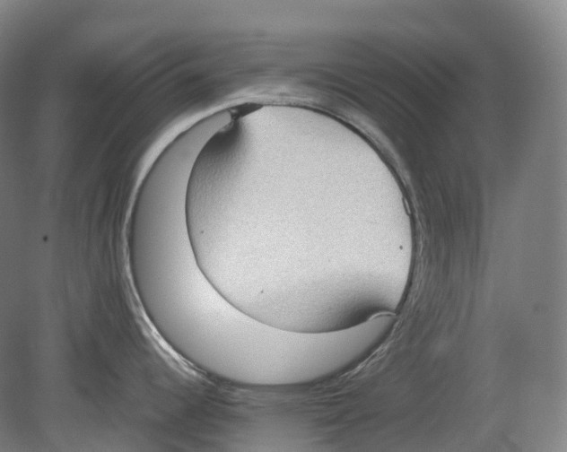 X0000078841344200612111546