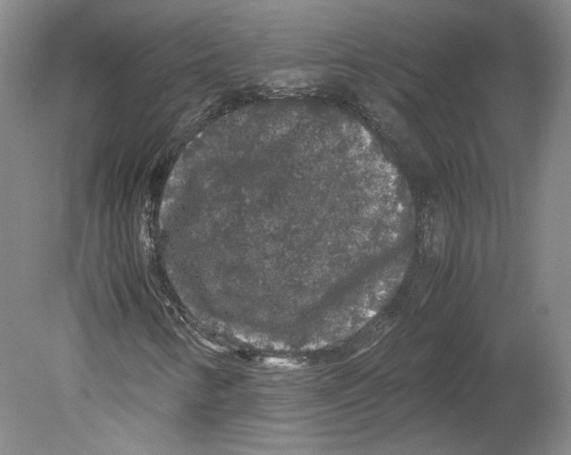 X0000078841346200612111545