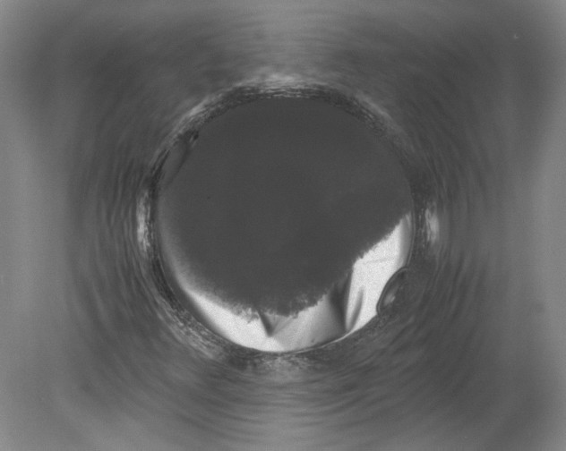 X0000078841348200612111545