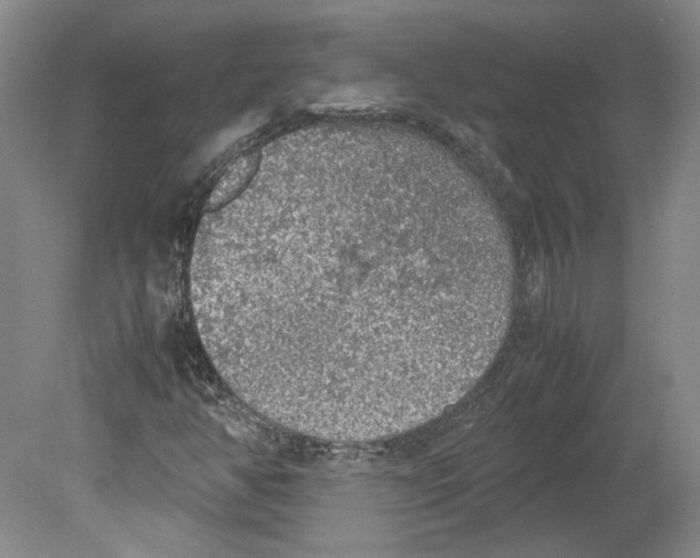 X0000078841350200612111545