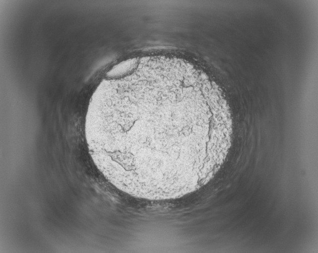 X0000078841351200612111545