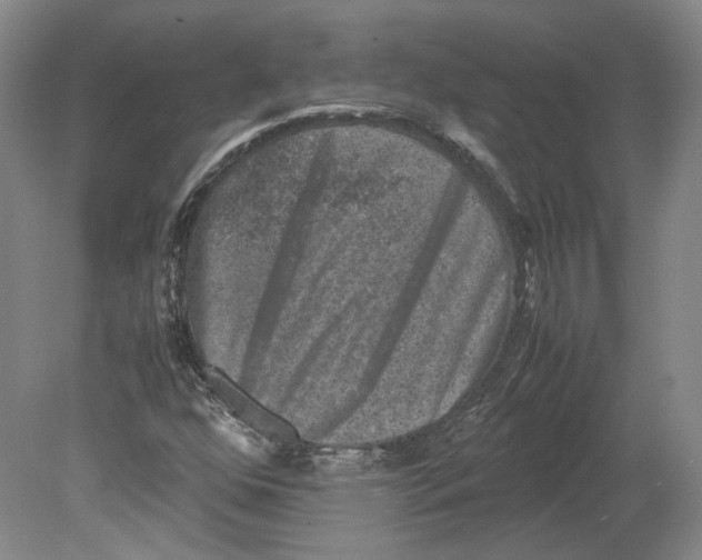 X0000078841352200612111545