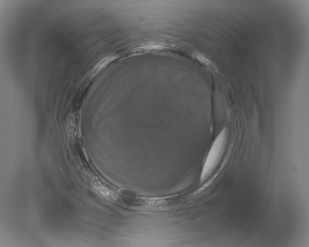 X0000078841353200612111545