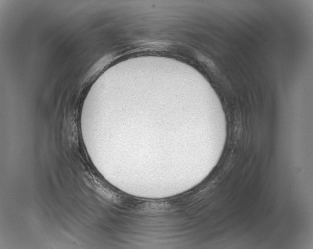 X0000078841354200612111545