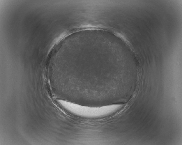 X0000078841357200612111545