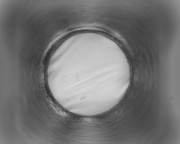 X0000078841360200612111544