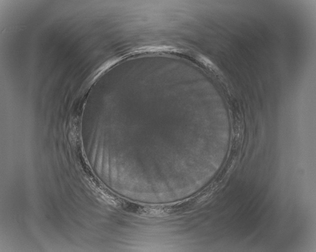 X0000078841361200612111544