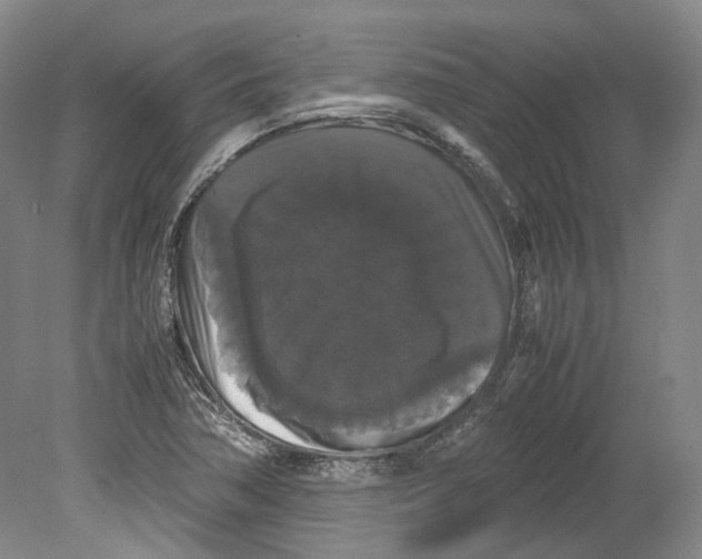 X0000078841362200612111544