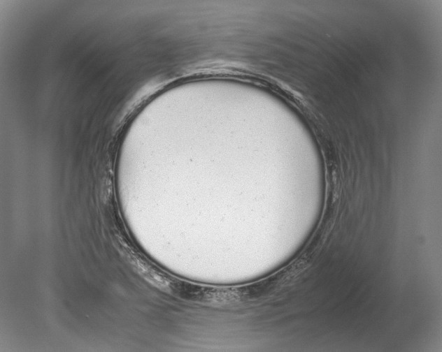 X0000078841363200612111544