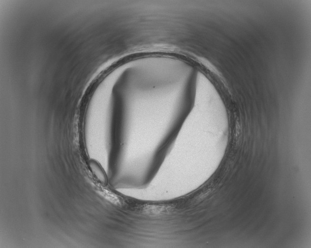 X0000078841364200612111544