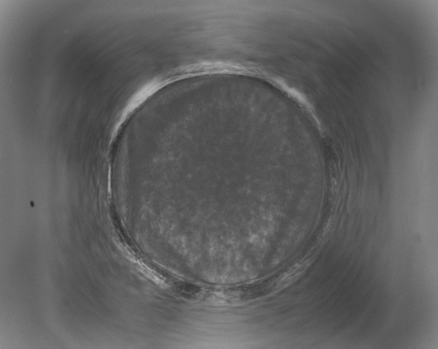 X0000078841365200612111544