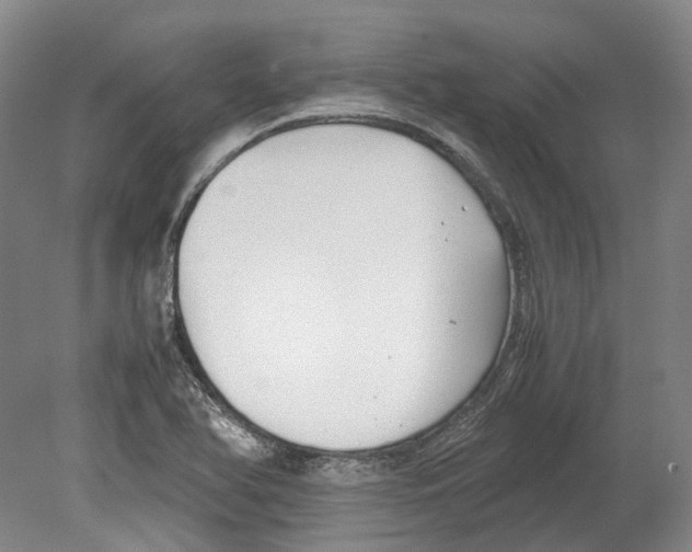 X0000078841366200612111544