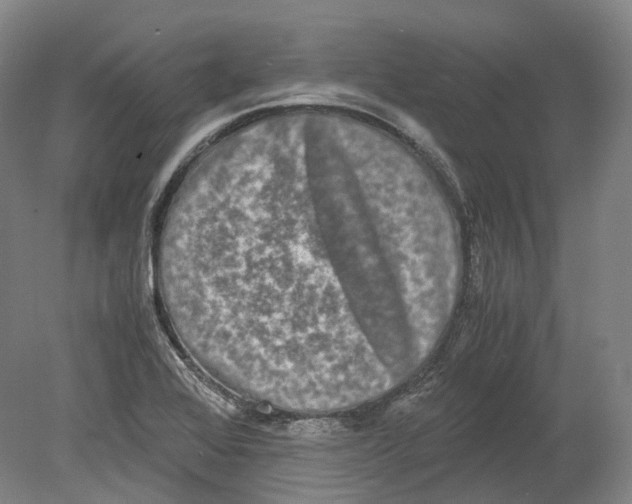 X0000078841368200612111544