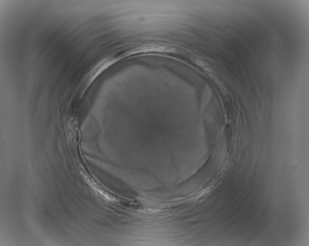 X0000078841369200612111544