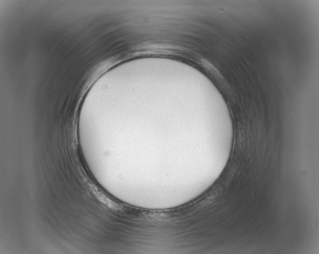 X0000078841370200612111544