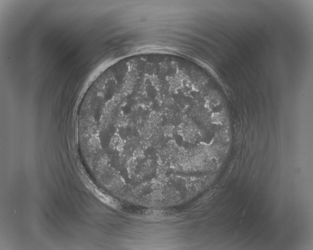 X0000078841371200612111544