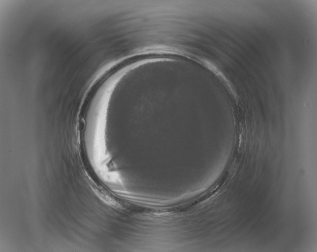 X0000078841372200612111544