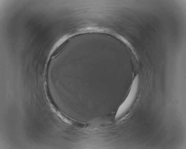 X0000078841373200612111544